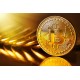 خرید Bitcoin Gold-قیمت Bitcoin Gold-فروش Bitcoin Gold-خرید و فروش آنلاین Bitcoin Gold-BitCoin Gold-پوزلند